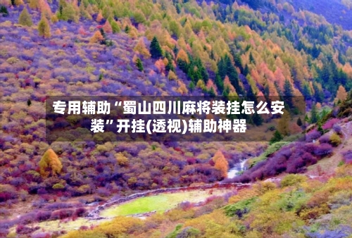 专用辅助“蜀山四川麻将装挂怎么安装”开挂(透视)辅助神器-第2张图片