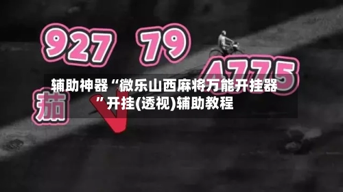 辅助神器“微乐山西麻将万能开挂器	”开挂(透视)辅助教程-第2张图片