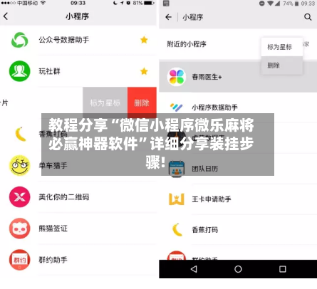 教程分享“微信小程序微乐麻将必赢神器软件	”详细分享装挂步骤!-第3张图片