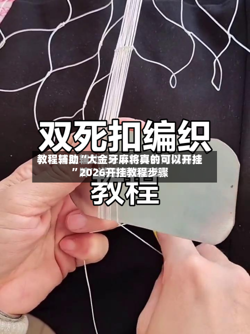教程辅助“大金牙麻将真的可以开挂”2026开挂教程步骤-第2张图片