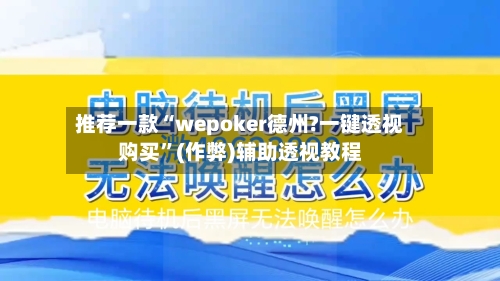 推荐一款“wepoker德州?一键透视购买”(作弊)辅助透视教程-第3张图片