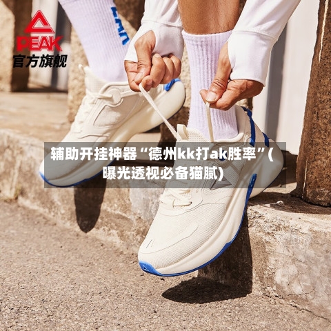 辅助开挂神器“德州kk打ak胜率	”(曝光透视必备猫腻)-第3张图片