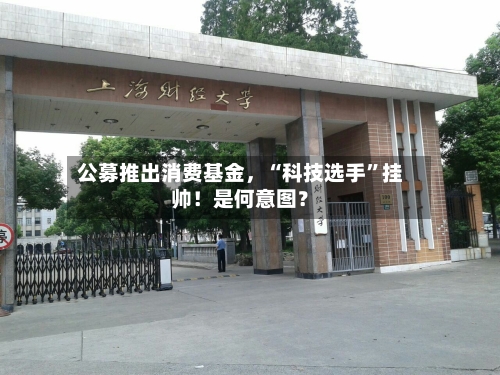 公募推出消费基金	，“科技选手	”挂帅！是何意图？-第1张图片