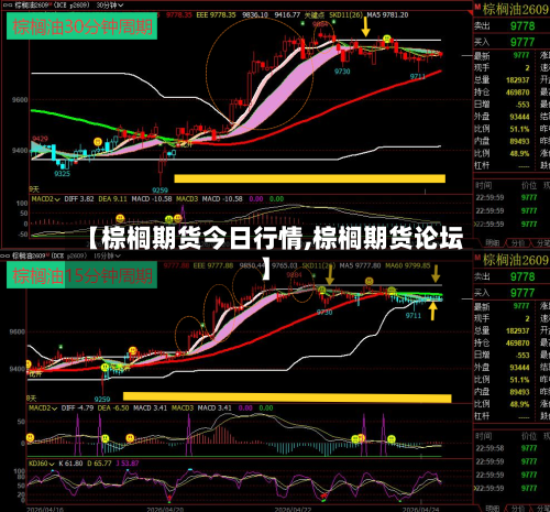 【棕榈期货今日行情,棕榈期货论坛】