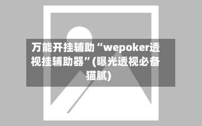 万能开挂辅助“wepoker透视挂辅助器”(曝光透视必备猫腻)-第3张图片
