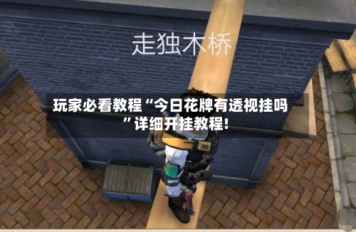 玩家必看教程“今日花牌有透视挂吗”详细开挂教程!