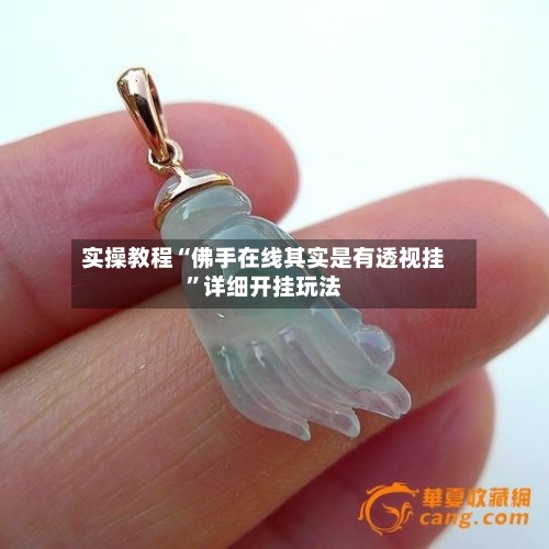 实操教程“佛手在线其实是有透视挂”详细开挂玩法-第3张图片
