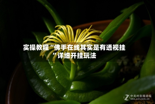 实操教程“佛手在线其实是有透视挂”详细开挂玩法-第2张图片