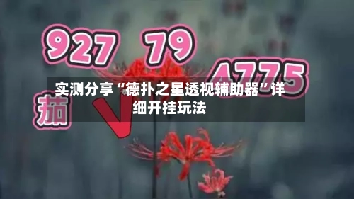 实测分享“德扑之星透视辅助器”详细开挂玩法-第2张图片