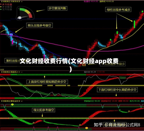 文化财经收费行情(文化财经app收费)