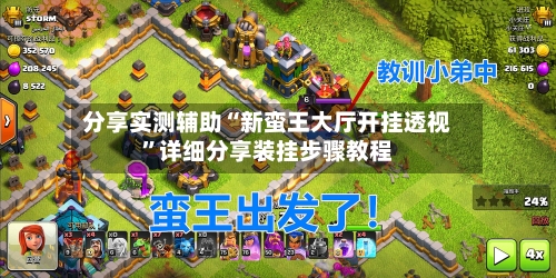 分享实测辅助“新蛮王大厅开挂透视”详细分享装挂步骤教程-第3张图片