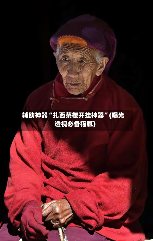 辅助神器“扎西茶楼开挂神器”(曝光透视必备猫腻)