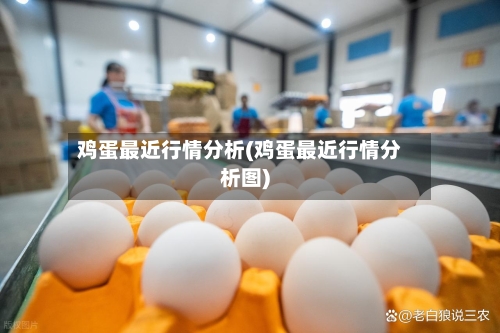 鸡蛋最近行情分析(鸡蛋最近行情分析图)-第3张图片