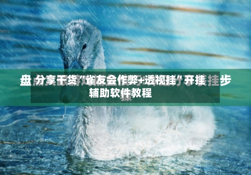 分享干货“雀友会作弊+透视挂”开挂辅助软件教程