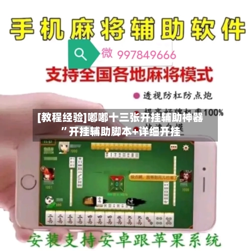 [教程经验]嘟嘟十三张开挂辅助神器”开挂辅助脚本+详细开挂-第2张图片