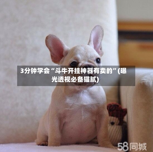 3分钟学会“斗牛开挂神器有卖的”(曝光透视必备猫腻)-第2张图片