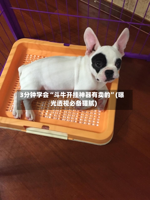 3分钟学会“斗牛开挂神器有卖的”(曝光透视必备猫腻)-第3张图片