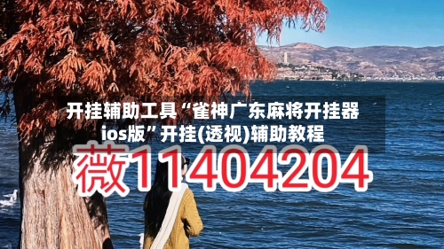开挂辅助工具“雀神广东麻将开挂器ios版	”开挂(透视)辅助教程-第3张图片