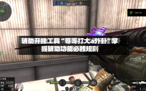 辅助开挂工具“哥哥打大a外卦”掌握辅助功能必胜规则-第2张图片