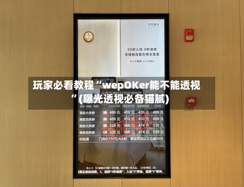 玩家必看教程“wepOKer能不能透视”(曝光透视必备猫腻)