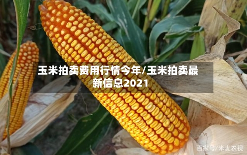 玉米拍卖费用行情今年/玉米拍卖最新信息2021