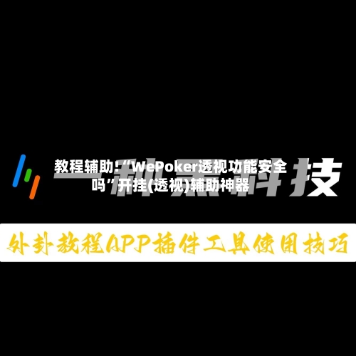 教程辅助!“WePoker透视功能安全吗	”开挂(透视)辅助神器-第2张图片