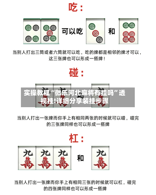实操教程“微乐河北麻将有挂吗”透视挂!详细分享装挂步骤-第2张图片
