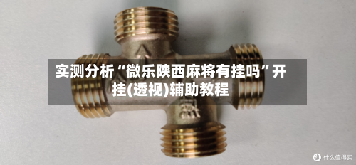 实测分析“微乐陕西麻将有挂吗”开挂(透视)辅助教程-第3张图片