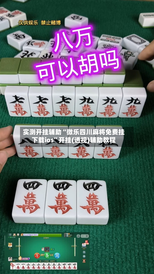 实测开挂辅助“微乐四川麻将免费挂下载ios”开挂(透视)辅助教程-第2张图片