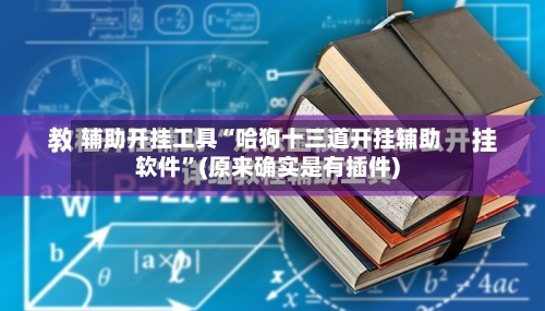辅助开挂工具“哈狗十三道开挂辅助软件”(原来确实是有插件)-第2张图片