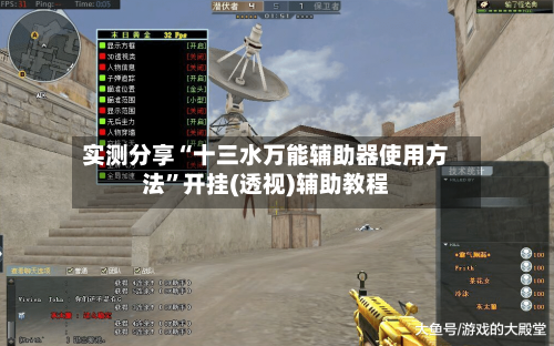 实测分享“十三水万能辅助器使用方法”开挂(透视)辅助教程-第2张图片