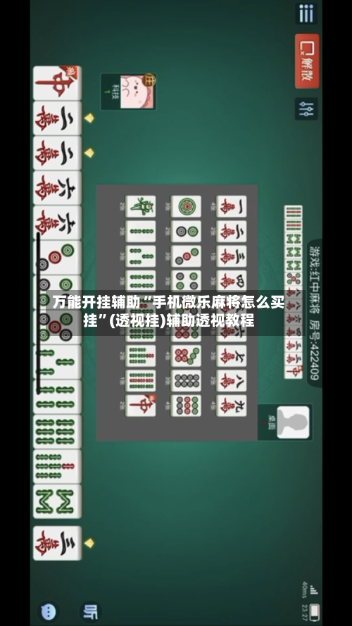 万能开挂辅助“手机微乐麻将怎么买挂	”(透视挂)辅助透视教程-第2张图片