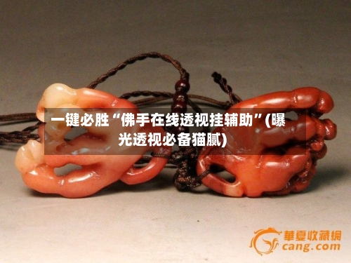 一键必胜“佛手在线透视挂辅助”(曝光透视必备猫腻)-第2张图片