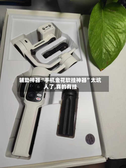 辅助神器“手机金花软挂神器”太坑人了,真的有挂-第3张图片