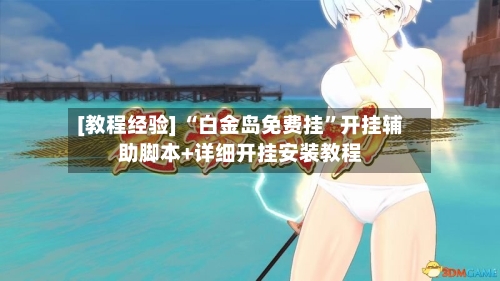 [教程经验] “白金岛免费挂”开挂辅助脚本+详细开挂安装教程-第3张图片