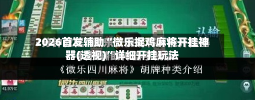 2026首发辅助“微乐捉鸡麻将开挂神器(透视)”详细开挂玩法-第2张图片