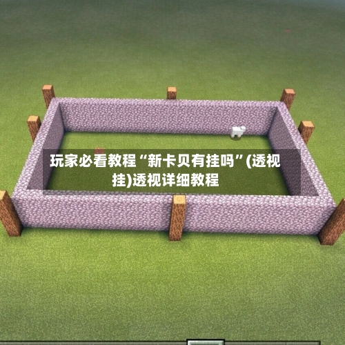 玩家必看教程“新卡贝有挂吗”(透视挂)透视详细教程-第2张图片