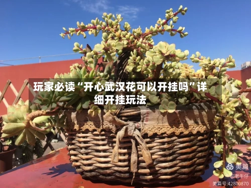 玩家必读“开心武汉花可以开挂吗”详细开挂玩法