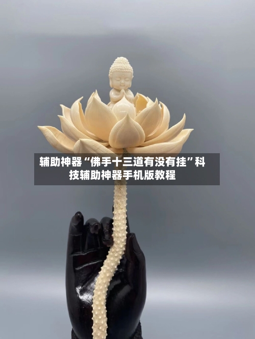 辅助神器“佛手十三道有没有挂”科技辅助神器手机版教程-第2张图片