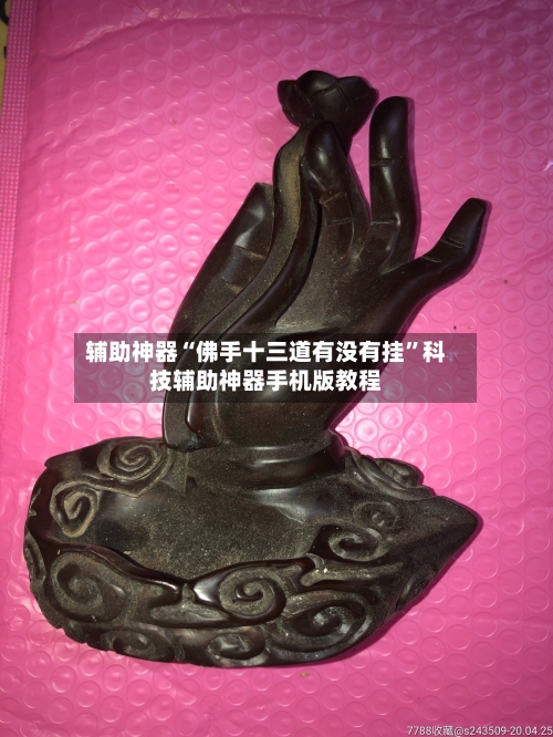 辅助神器“佛手十三道有没有挂”科技辅助神器手机版教程-第3张图片