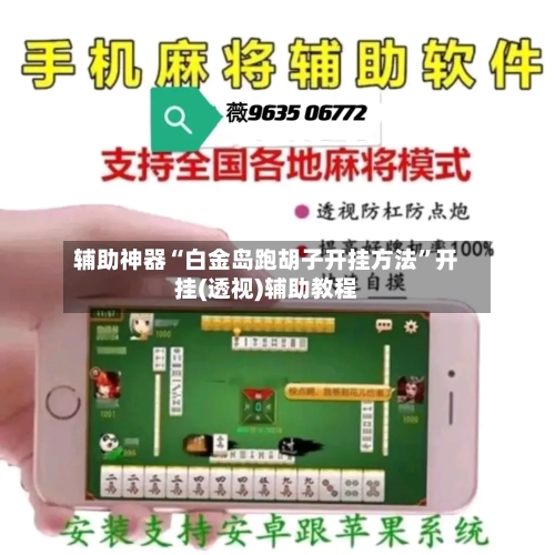 辅助神器“白金岛跑胡子开挂方法”开挂(透视)辅助教程-第2张图片