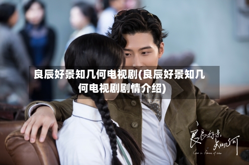 良辰好景知几何电视剧(良辰好景知几何电视剧剧情介绍)-第2张图片
