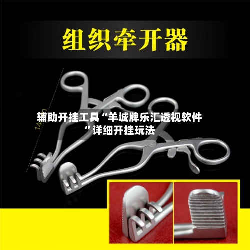 辅助开挂工具“羊城牌乐汇透视软件”详细开挂玩法-第2张图片
