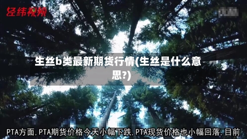 生丝b类最新期货行情(生丝是什么意思?)