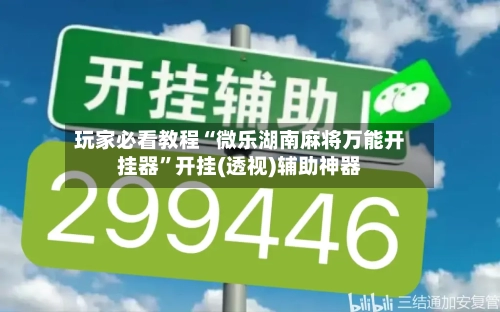 玩家必看教程“微乐湖南麻将万能开挂器	”开挂(透视)辅助神器-第3张图片