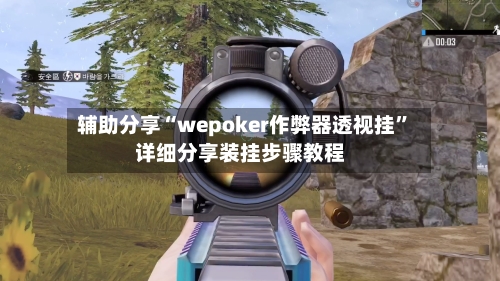 辅助分享“wepoker作弊器透视挂	”详细分享装挂步骤教程-第2张图片