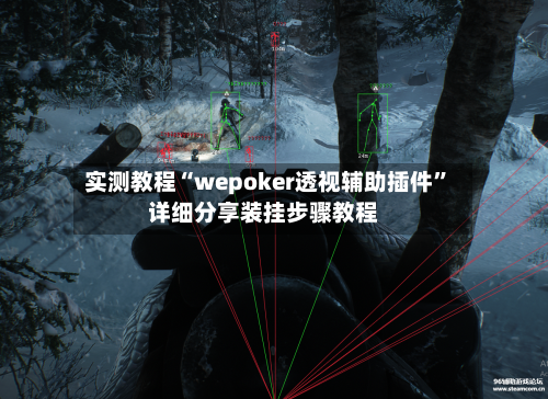 实测教程“wepoker透视辅助插件”详细分享装挂步骤教程-第2张图片