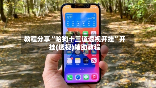 教程分享“哈狗十三道透视开挂	”开挂(透视)辅助教程-第2张图片