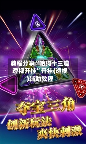 教程分享“哈狗十三道透视开挂”开挂(透视)辅助教程-第3张图片