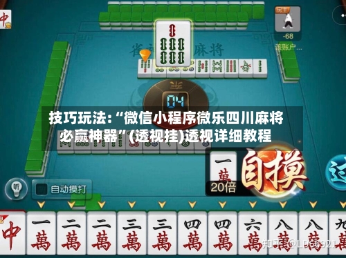 技巧玩法:“微信小程序微乐四川麻将必赢神器”(透视挂)透视详细教程-第2张图片